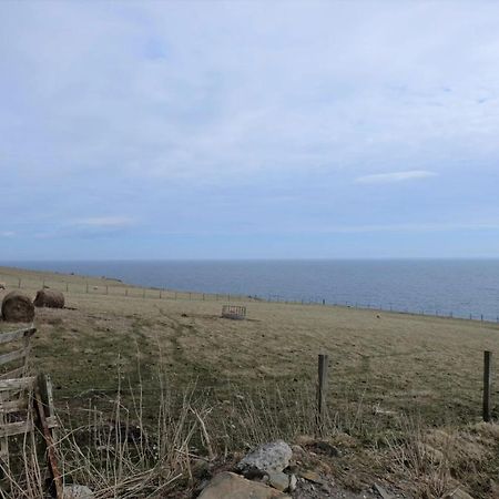 Fabulous Location With Sea And Castle View - Nc500 Keiss Exterior photo
